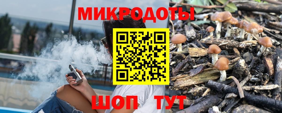 Псилоцибиновые грибы мицелий Шатура